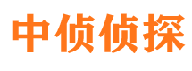 泰安婚外情调查